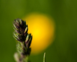 J 060609 1205