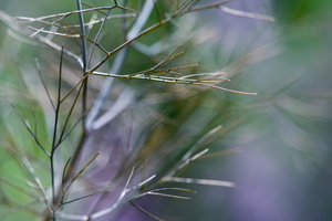 J 080609 4242