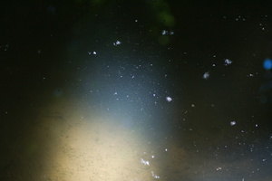 J 080609 4363