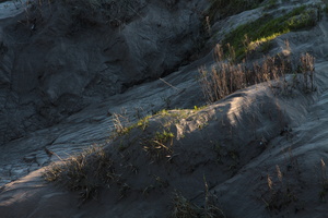 L 100130 50D 0894