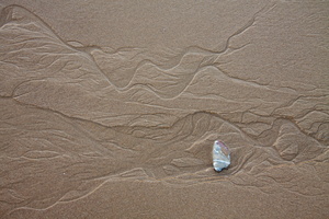 L 100301 50D 1158