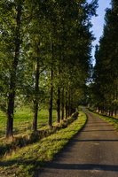 J 060827 3818