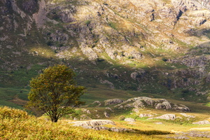 L 150917 50D 0283
