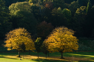 J 081012 6586