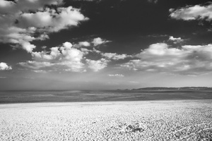 L 100619 50D 1742