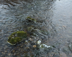 L 100301 50D 1099