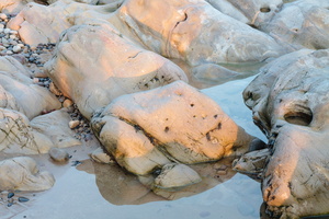 L 111001 50D 3290