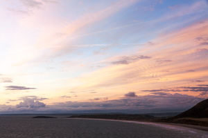 L 150814 50D 8916