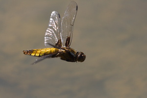 J 090530 8289