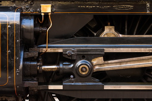 L 180829 50D 8515