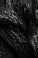 L 160905 50D 2581