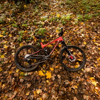 Bike rides